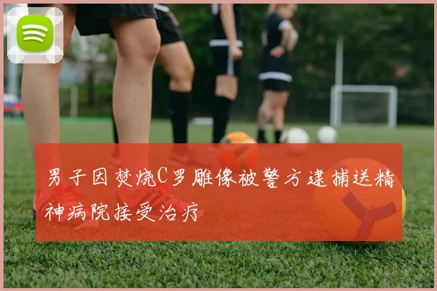 男子因焚烧C罗雕像被警方逮捕送精神病院接受治疗