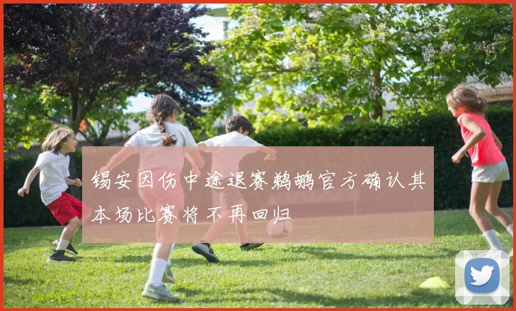 锡安因伤中途退赛鹈鹕官方确认其本场比赛将不再回归