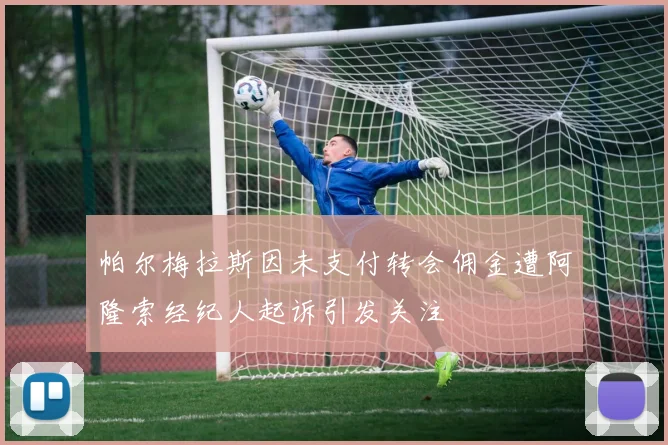 帕尔梅拉斯因未支付转会佣金遭阿隆索经纪人起诉引发关注